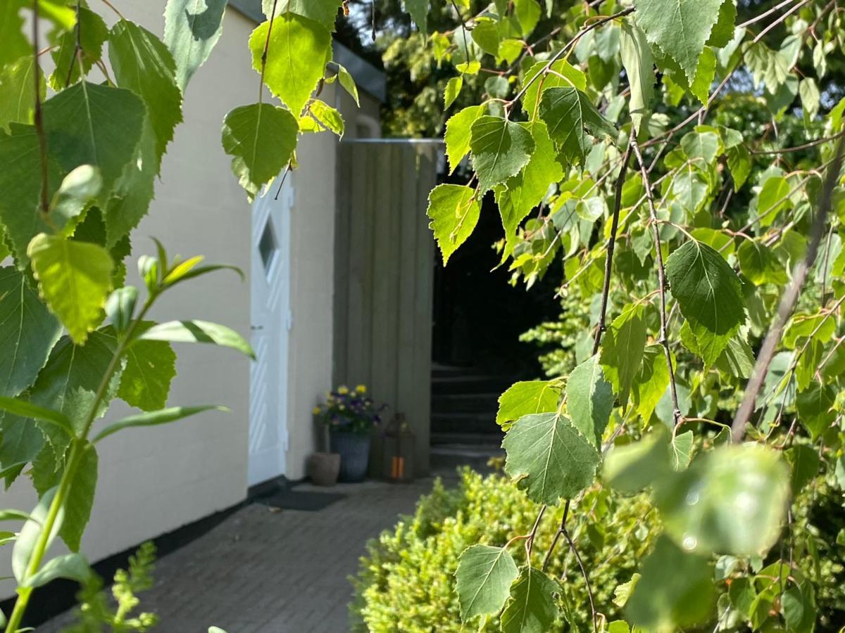 Jonstrupvejens Apartments Lejl C 巴勒鲁普 外观 照片